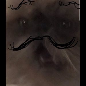 Meet your Posher, Caitlin